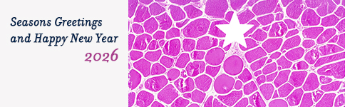 Seasons Greetings and Happy New Year 2026